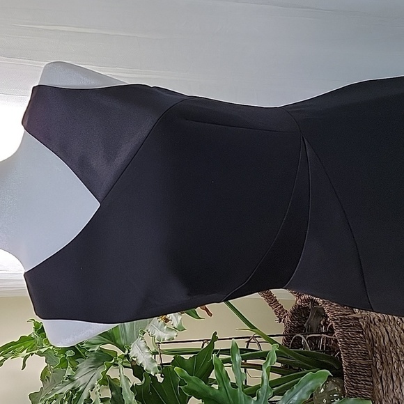 WHBM Black on Black Satin Block Sleeveless Sheath Dress Size 2 NWT - Picture 2 of 13